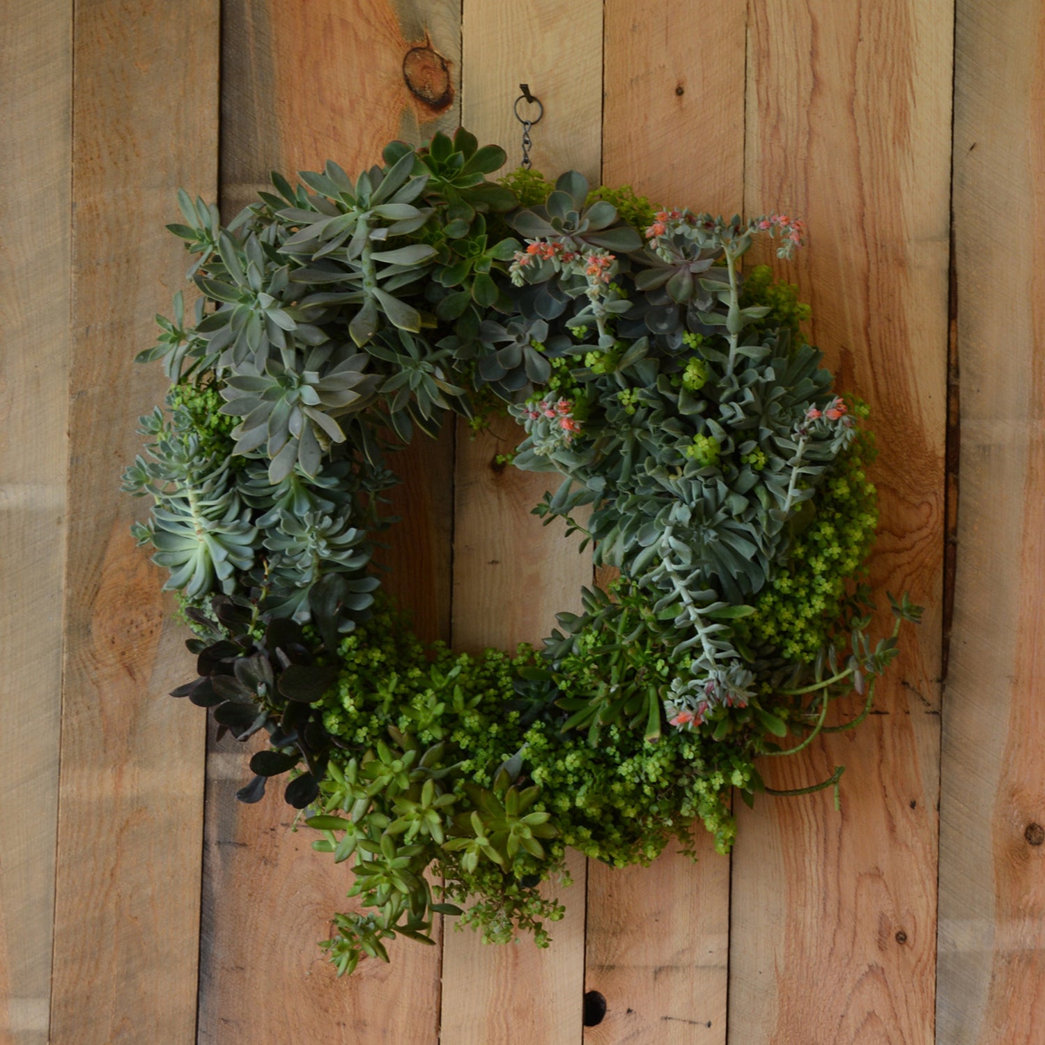 How to Moss a frame for a foam free Christmas Wreath - YouTube